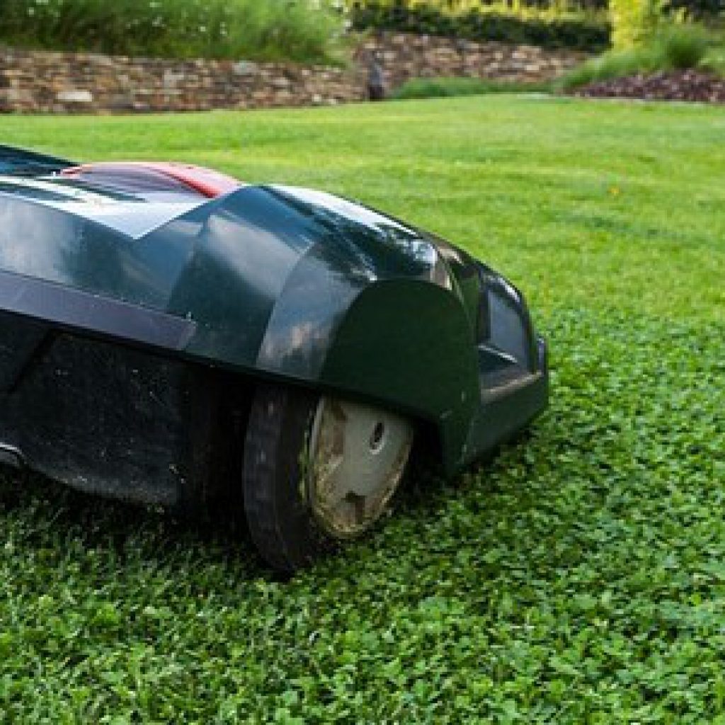 robot de tonte