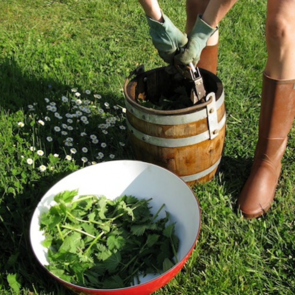 alternatives-pesticides