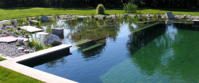 piscine naturelle
